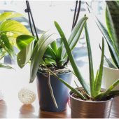 Keeping Your Office Eco-Friendly During the Summer Months